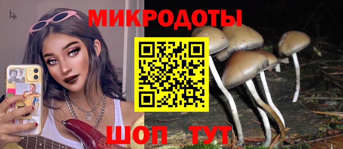 Псилоцибиновые грибы мухоморы Радужный