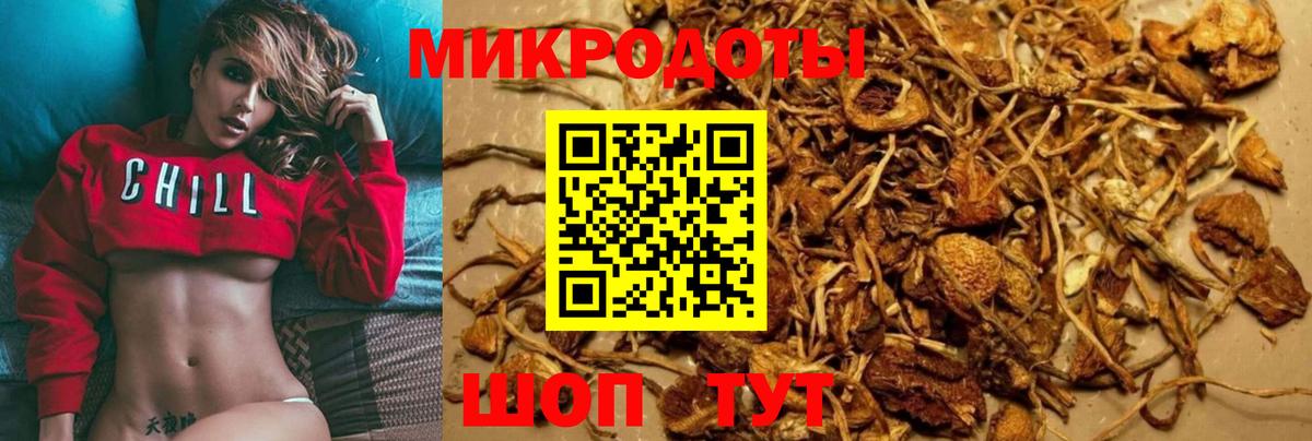 Псилоцибиновые грибы Magic Shrooms  Вход с VPN  Радужный  купить наркотик  Галлюциногенные грибы ЛСД 